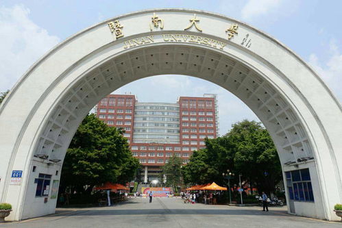 2020暨南大学本科自考(暨南大学自考本科有什么专业)