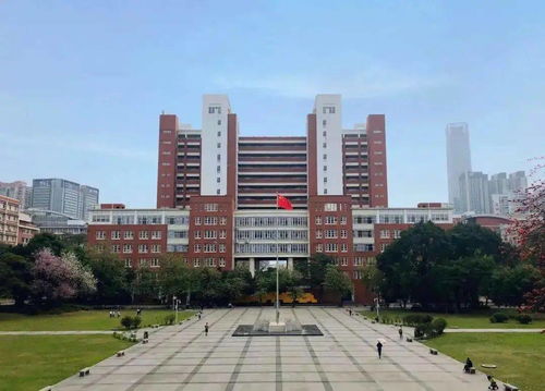 2021自考暨南大学大专(2021年暨南大学成人高考录取分数线)