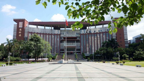 专升本自考暨南大学(深圳专升本院校有那些)