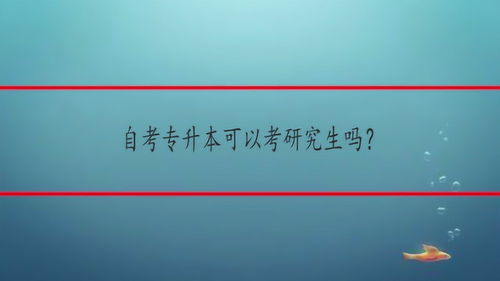 专升本自考本考研暨南大学(暨南大学考研收专升本吗)