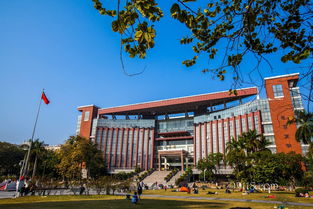 专科自考学校暨南大学(自学考试有什么学校)