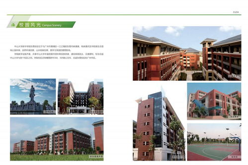 中山大学自考转暨南大学(成人自考本科院校有哪些？)